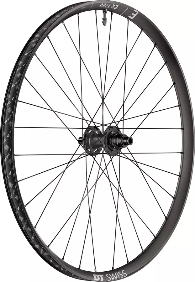 DT Swiss EX 1700 Classic 30 Rear Wheel - 29" 12 x 148mm Center-Lock XD DEG 72 DF BLK