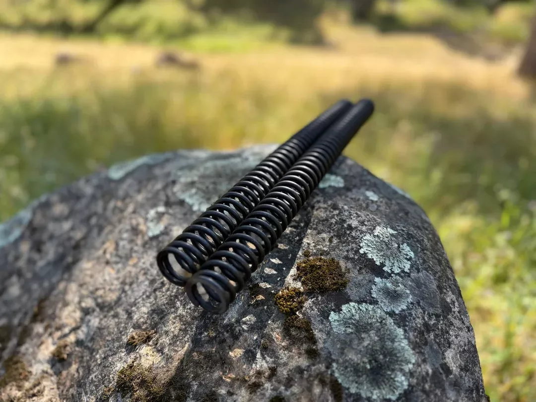 ETM RTR Mod Fork Springs | Stiff (+25%) or Kids (-25%) | Suspension Upgrade